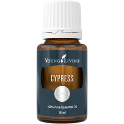 Zypresse (Cypress) 15 ml