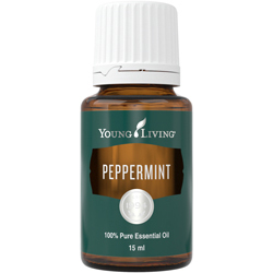 Pfefferminze (Peppermint) 15 ml