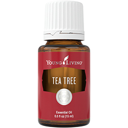 Teebaum (Tea Tree) 15 ml