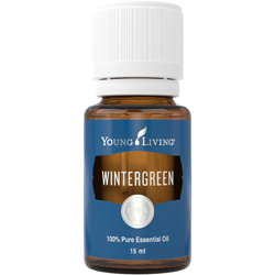 Wintergrün (Wintergreen) 15 ml