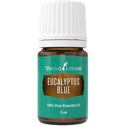 Blauer Eukalyptus (Eucalyptus Blue) 5 ml