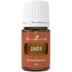 Ingwer (Ginger) 5 ml