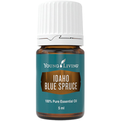 Idaho Blaufichte (Idaho Blue Spruce) 5 ml