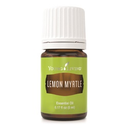 Zitronenmyrte (Lemon Myrtle) 5 ml