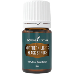 Northern Lights Schwarzfichte (Northern Lights Black Spruce) 5 ml
